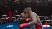 Fight Knockout GIF by Creed III