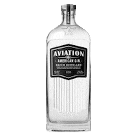 ryan reynolds gin Sticker