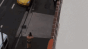 budgysmuggler GIF