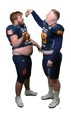 Football Sport Sticker by Dresden Monarchs