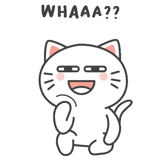 Kiki Cat GIF by KIKI