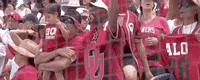 James Madison Softball GIF by NCAA Championships