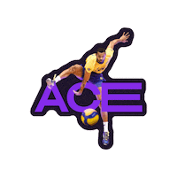 Ace Alan Sticker by Volleyball World