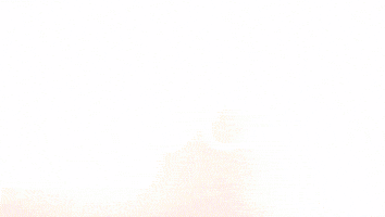 Celebration Goal GIF by FC Red Bull Salzburg