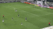 gabriel jesus GIF by SE Palmeiras