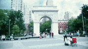 GIF by Jealous of the Birds