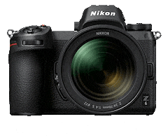 Nikon Nikoninstabadge Sticker by NikonIndia