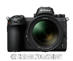Nikoninstabadge Z6 Sticker by NikonIndia