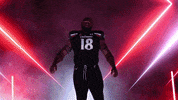 University Of Cincinnati Uc GIF by Cincinnati Bearcats