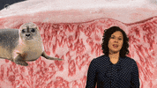 Pbs Food Champagne GIF by PBS Digital Studios