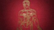KartemquinFilms health science education sex GIF