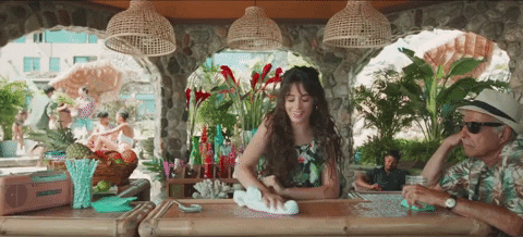 Camila Cabello GIF by Ed Sheeran