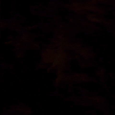 sleepy good night GIF by joecappa