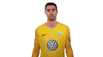 World Cup Football Sticker by VfL Wolfsburg