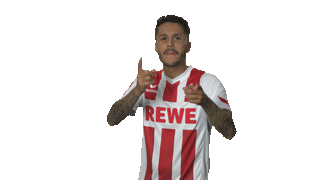 football soccer Sticker by 1. FC Köln