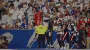 Football Celebration GIF by New England Patriots