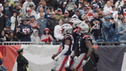 Nfl Football Dance GIF by New England Patriots