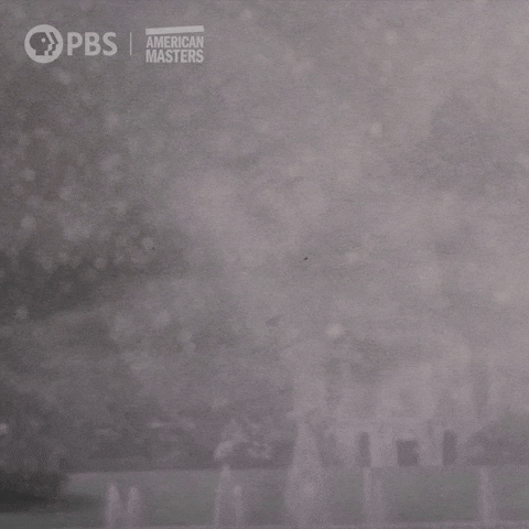 Hannah Arendt GIF by American Masters on PBS