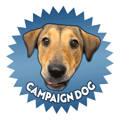 Dog Louisiana Sticker by John Bel Edwards