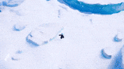 Penguin Run Away GIF by Pokémon