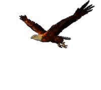 event suggests STICKER