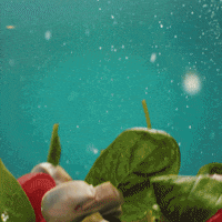 DrOetkerBelgium happy pizza delicious veggie GIF