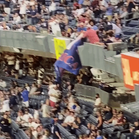 Yankee Fans Cheer as Men Waving 'Trump Won' Banner Removed from Stadium