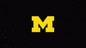 umichathletics  GIF