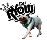 DREAMTEAMMUSIC dj hiphop pug djryow Sticker