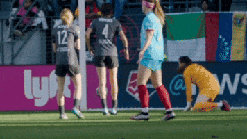 Red Stars Ally GIF by Chicago Red Stars