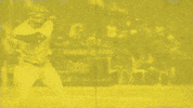 Baseball Hit GIF by Charros de Jalisco