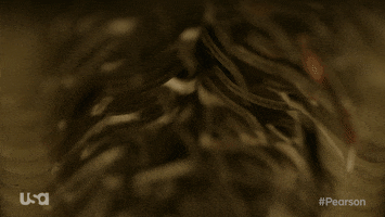 usa network television GIF by Pearson