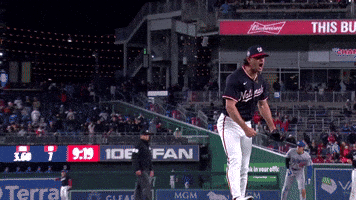 Washington Nationals Win GIF by MLB