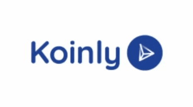 koinly giphygifmaker giphygifmakermobile GIF