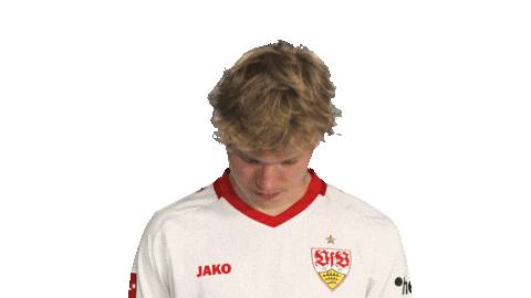 Look Up Vfb Stuttgart Sticker by Bundesliga