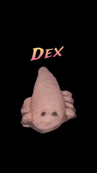 Dex Demodex GIF
