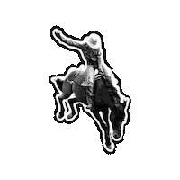 Texas Sticker by The Agency Dallas