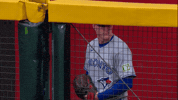 Blue Jays Baseball GIF by Toronto Blue Jays