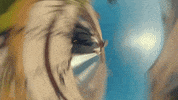 Laundry Not The Way GIF by St. Panther