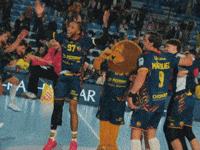 Happy Celebration GIF by Saint-Raphaël Var Handball