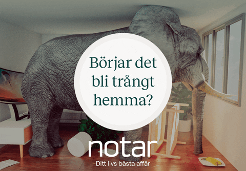 Elephant Notar GIF by Notarjenny