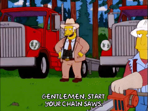episode 4 forest GIF