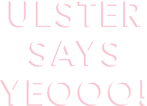 Northern Ireland Sticker by Born & Bred