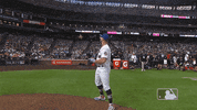 Major League Baseball Sport GIF by MLB