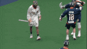 Celebrate New York GIF by New York Riptide