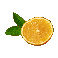 Podzimní Drinky Sticker by ORLEN CZ