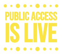 Influencer Creator GIF by LTK