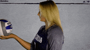 NevadaWolfPack college ncaa volleyball athletics GIF