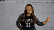 NevadaWolfPack college ncaa volleyball athletics GIF
