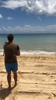 Tourists Watch in Awe as Man Catches Shark in Queensland, Australia